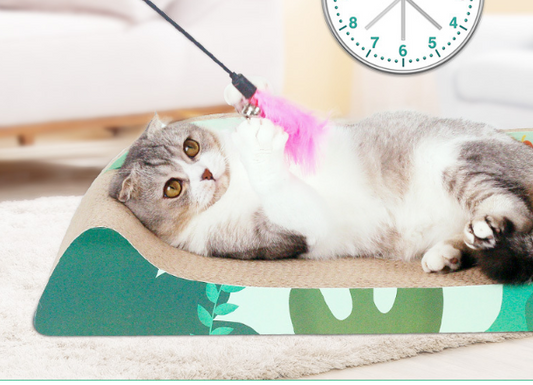 Cat Scratching Board and Corrugated Cat House
